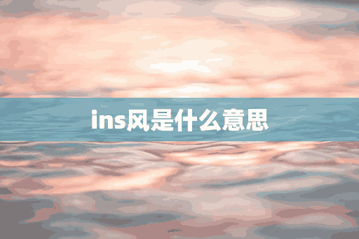 ins风是什么意思(ins风是什么意思啊)